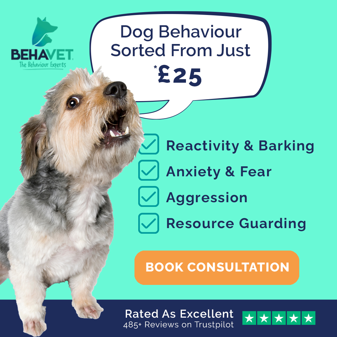 Behavet: The Pet Behaviour Experts Facebook ad