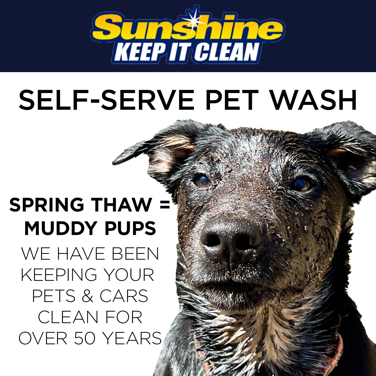 Sunshine Super Wash & Express Detailing Facebook ad: Say goodbye to pet odors!