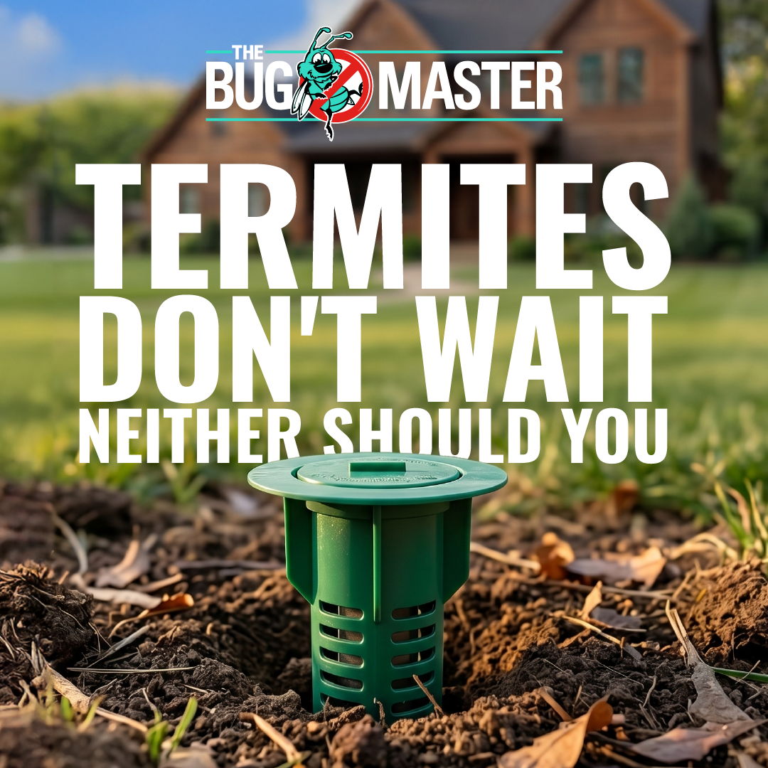The Bug Master Facebook ad: Termites aren't welcome here