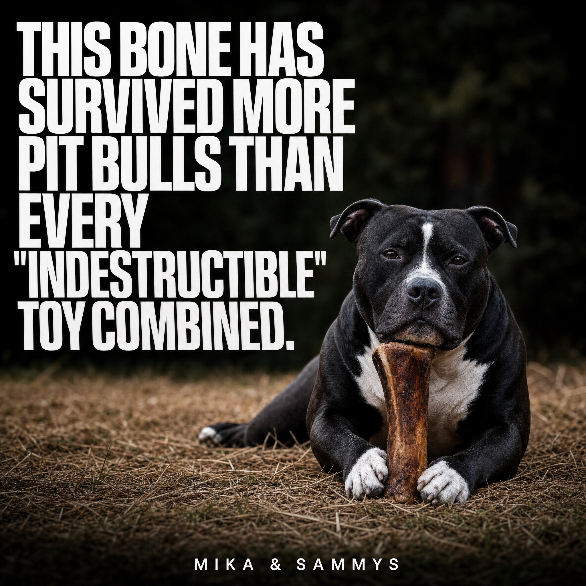 Mika & Sammy's Gourmet Pet Treats Facebook ad