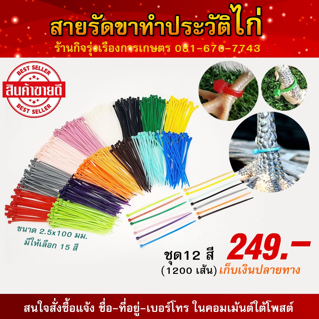 กิ๊ฟติดปีกไก่ อุปกรณ์ทำประวัติสัตว์ปีก ครบวงจร Facebook ad from Sep 29, 2024
