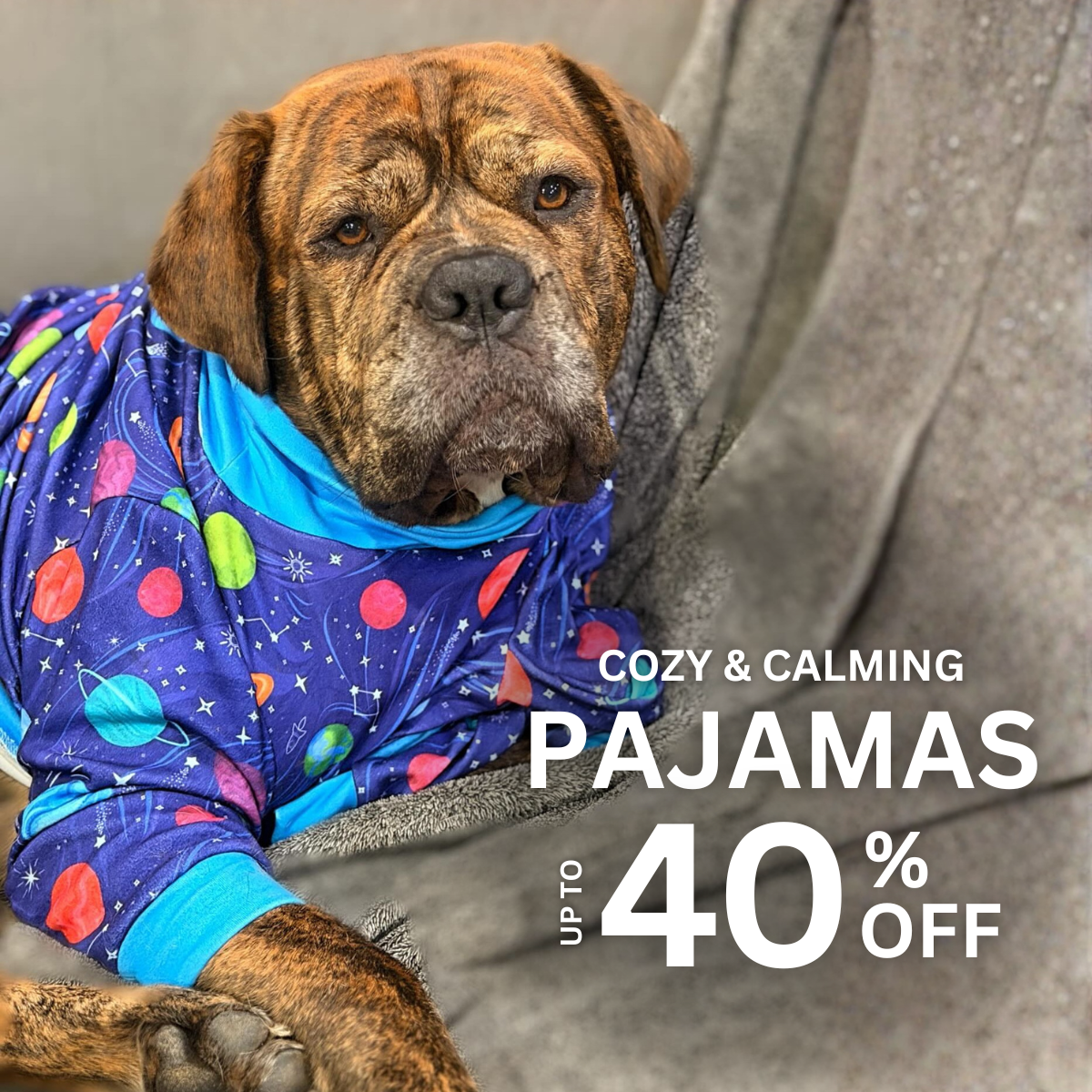 Spark Paws Facebook ad