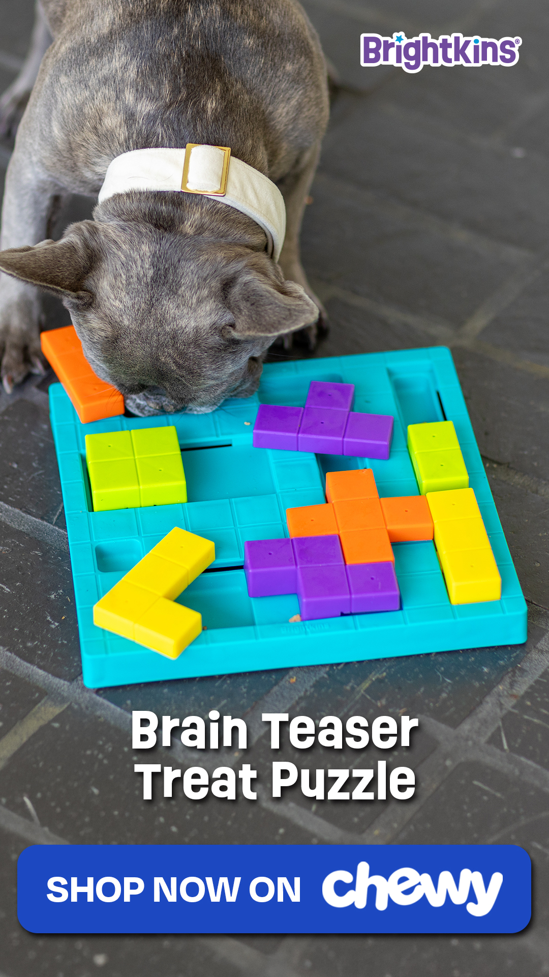 brightkinspets Facebook ad