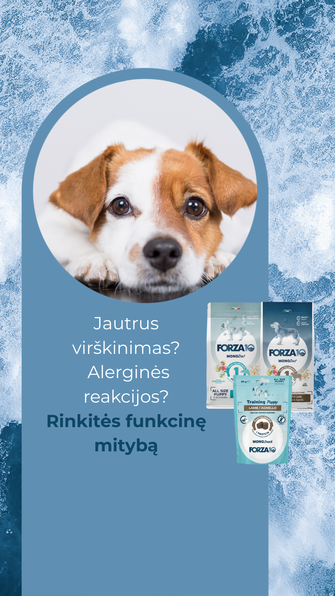 Forza10 Lietuva Facebook ad