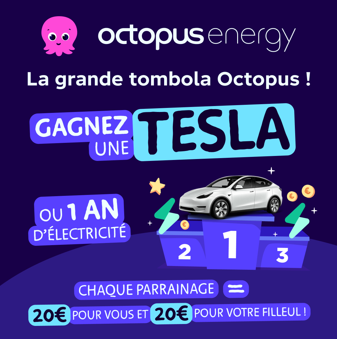 Octopus Energy Facebook ad