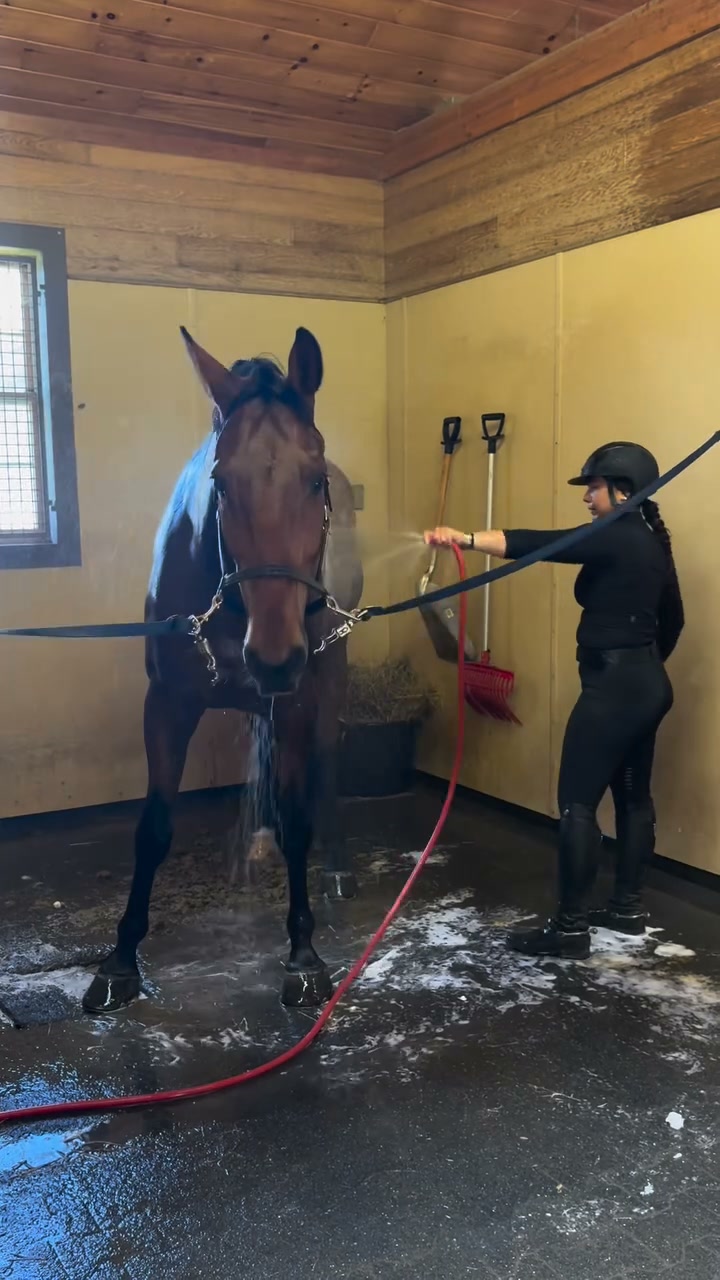 Ride In Style Equestrian Facebook ad: For the Girls Always at the Barn