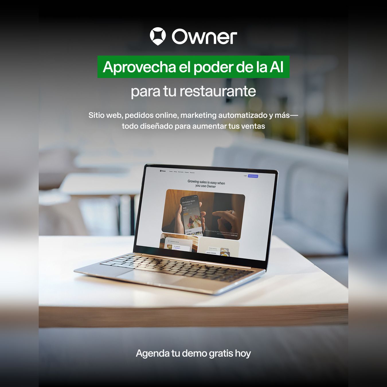 Owner.com Facebook ad