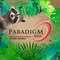 Paradigm Mall Johor Bahru