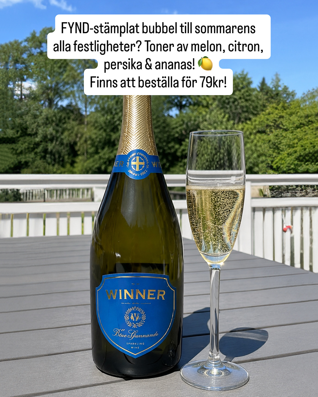 Vin & Väninnor  Facebook ad