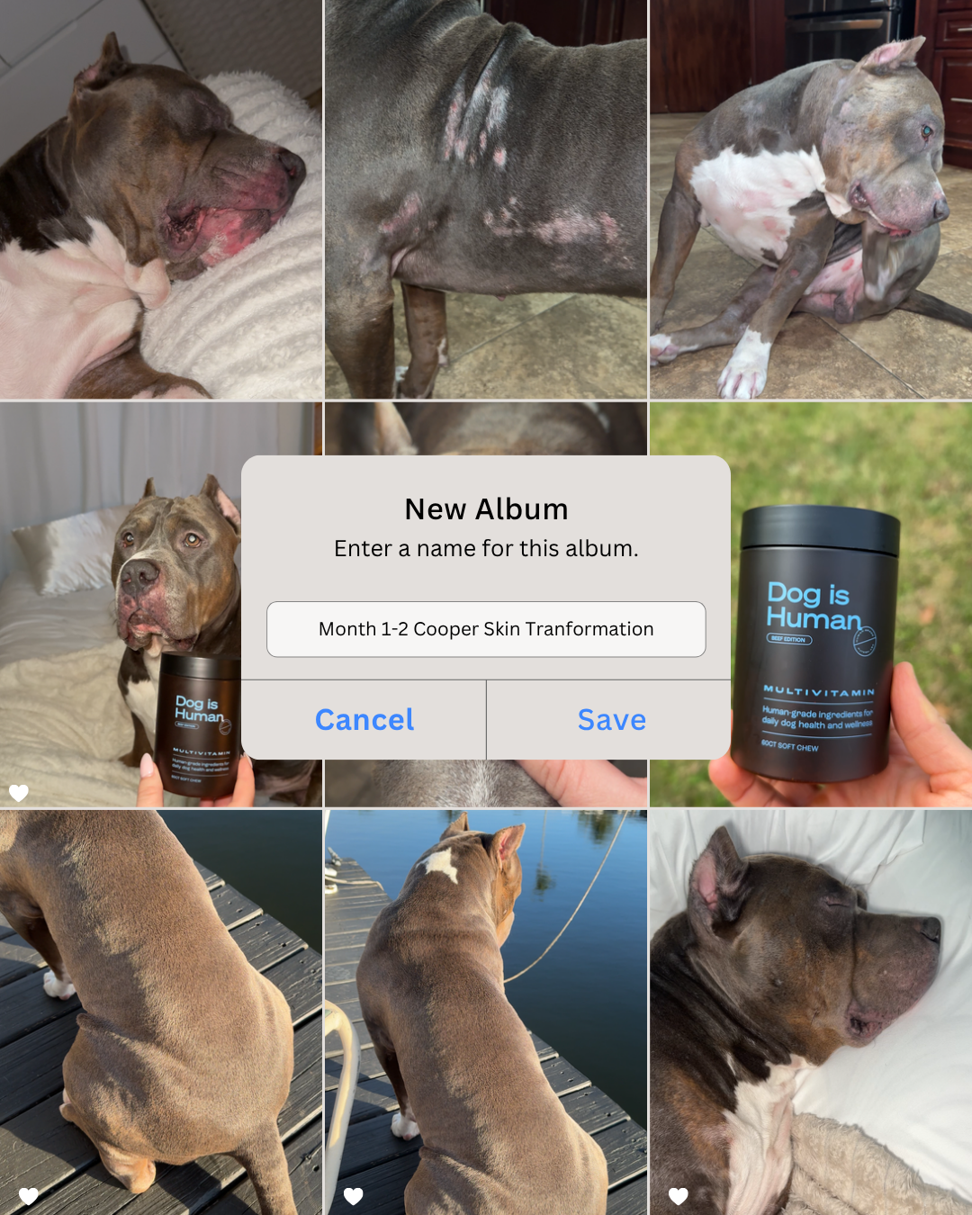Dog is Human Facebook ad