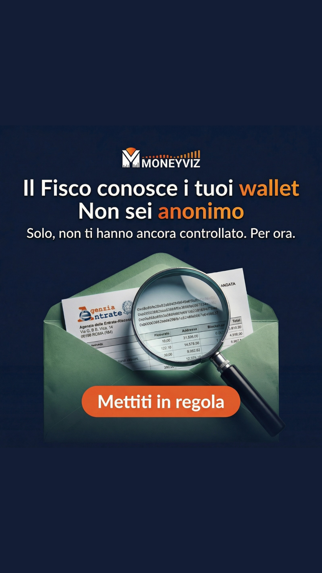 MoneyViz Facebook ad
