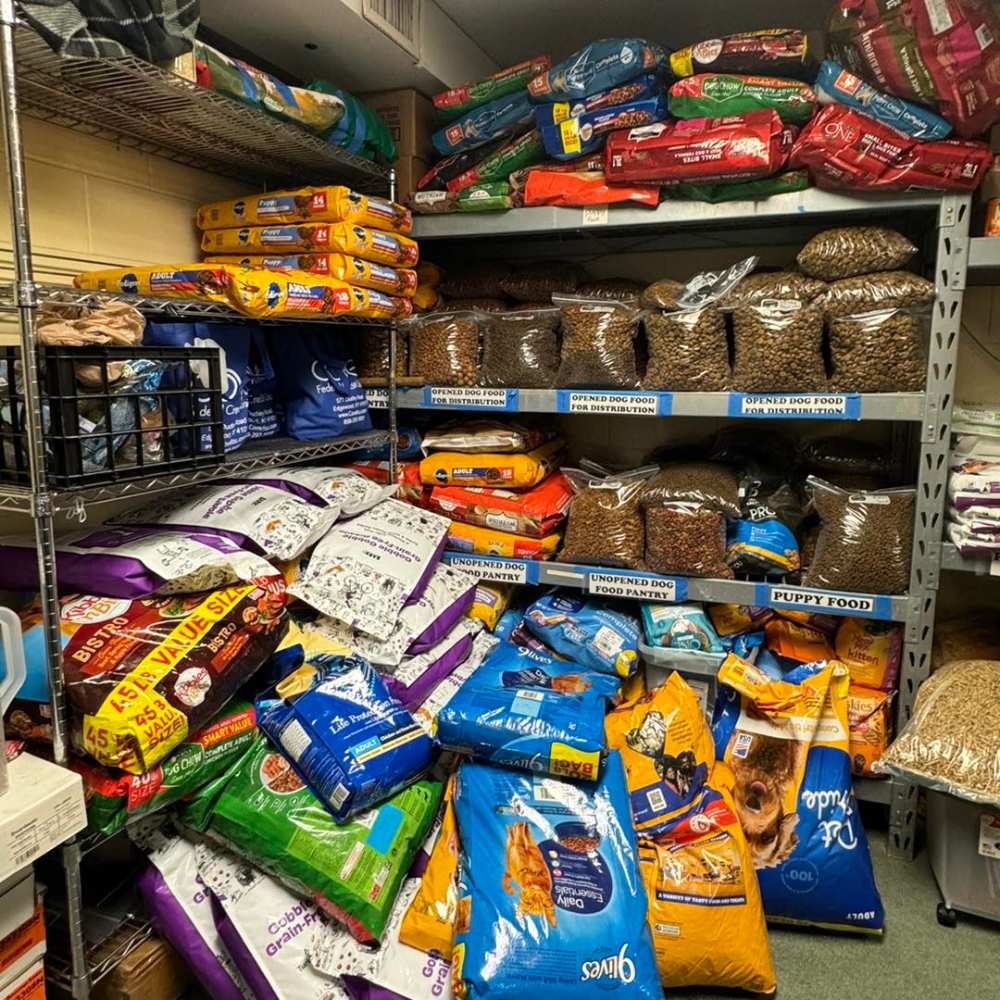 Pet Hub USA Facebook ad: Where to Find Clearance Pet Supplies