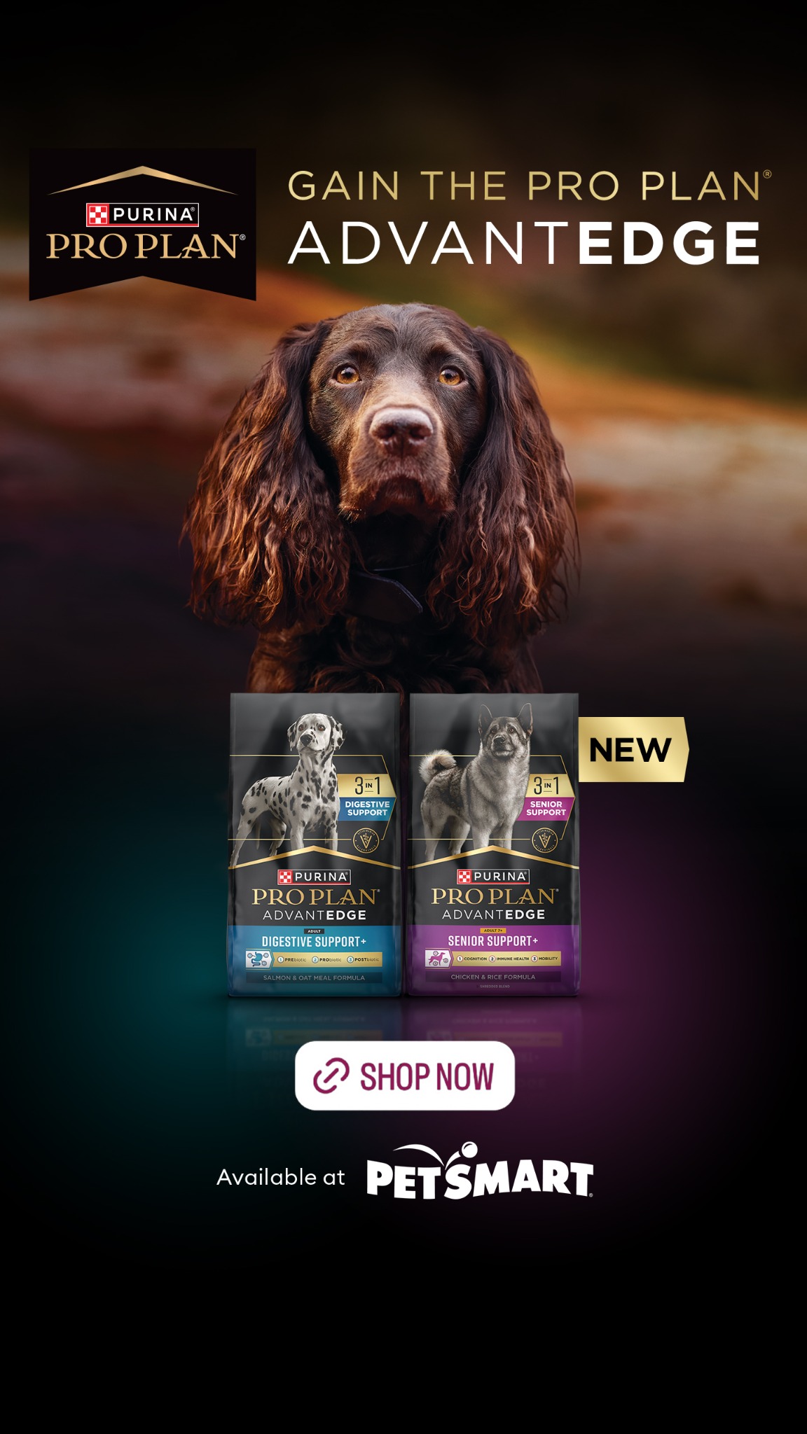 PetSmart Facebook ad