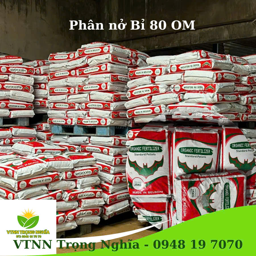 Vật Tư Nông Nghiệp Trọng Nghĩa Facebook ad: 𝗣𝗵â𝗻 𝗵ữ𝘂 𝗰ơ 𝗻𝗵ậ𝗽 𝗸𝗵ẩ𝘂 𝘁𝗿ự𝗰 𝘁𝗶ế𝗽 𝗡𝗵ậ𝘁…