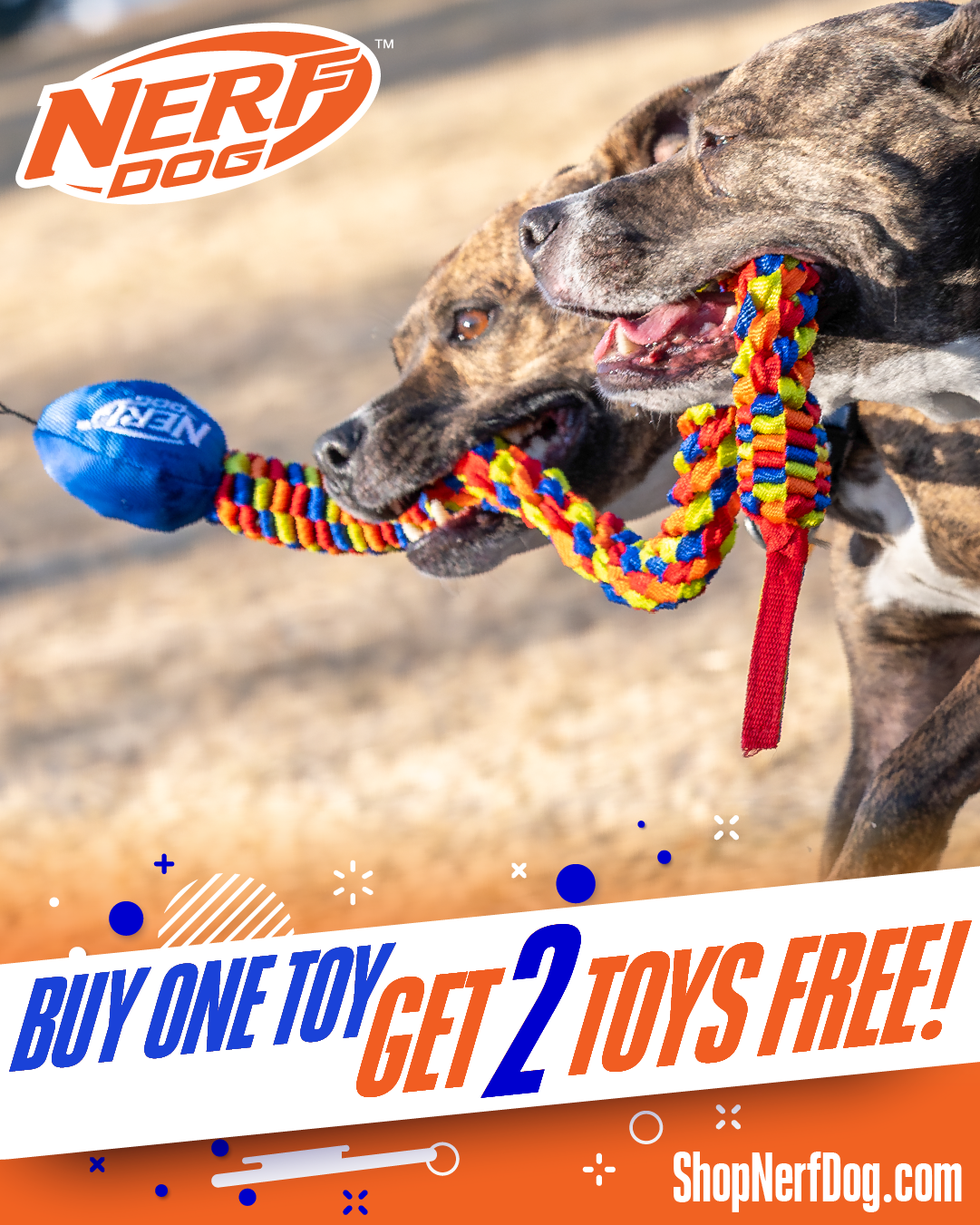 Nerf Dog Facebook ad from Mar 11, 2026