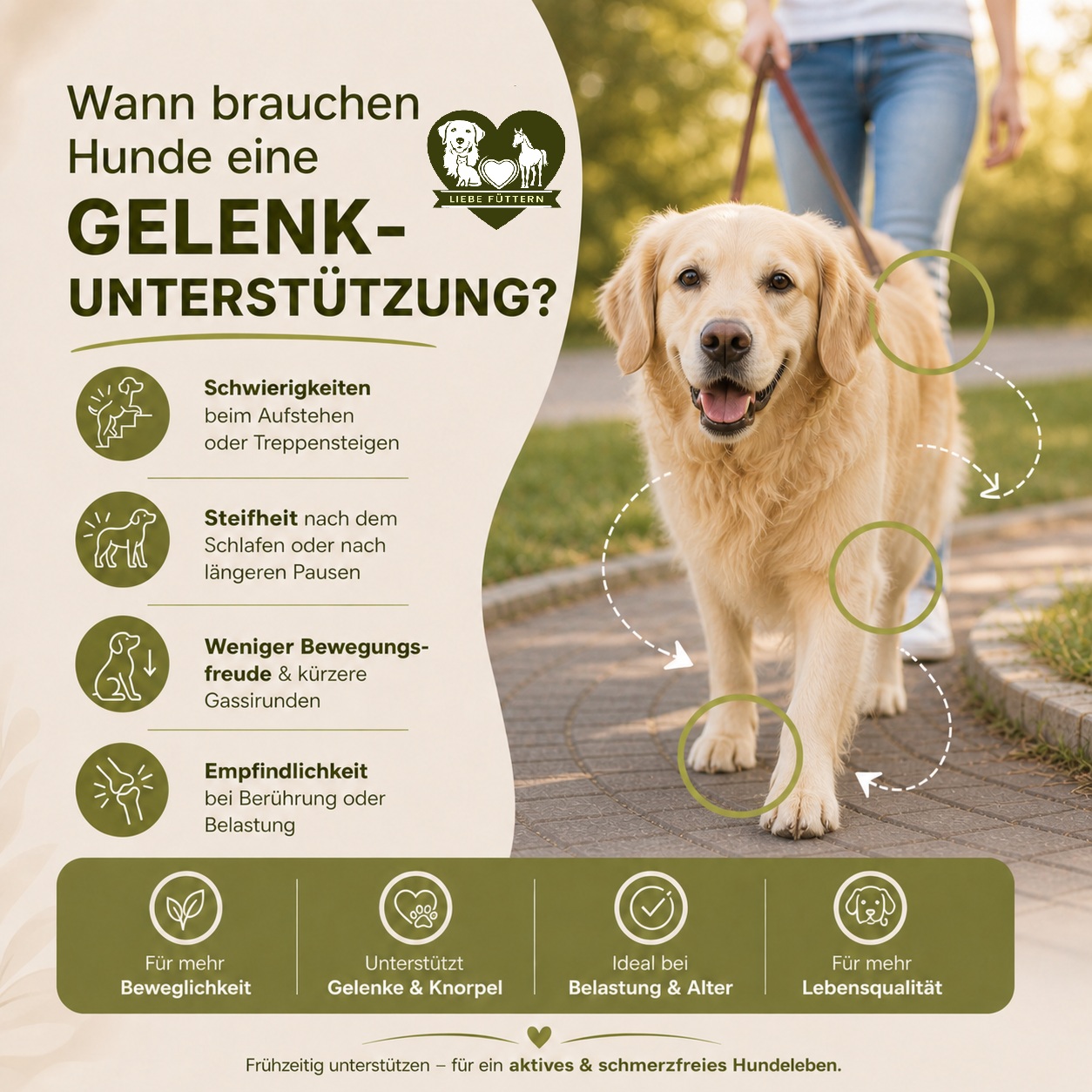 Reico Partner Liebe Füttern Facebook ad: Wieder mehr Vitalität