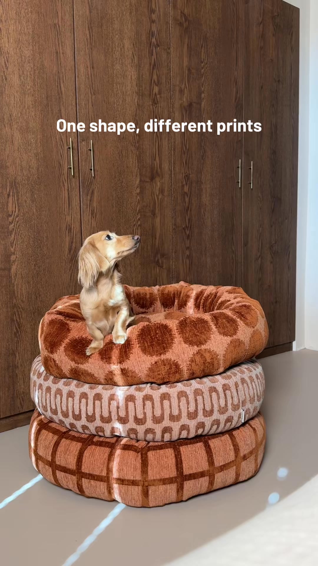 Dogguo Facebook ad: Interior Proof Dog Brand