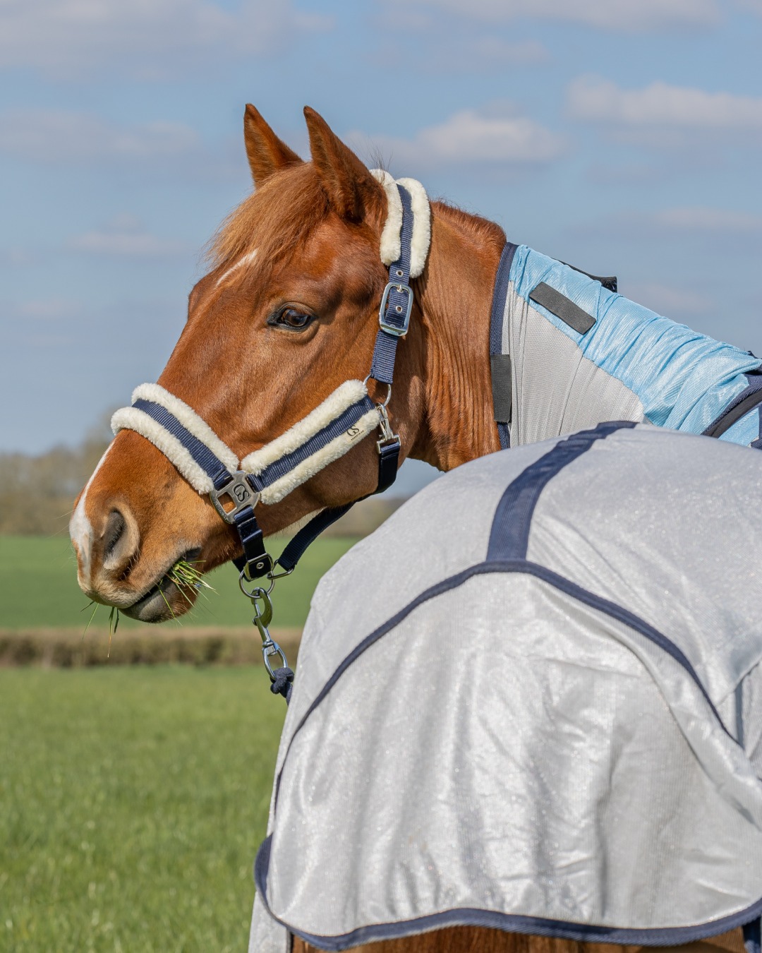 GS Equestrian & Country Facebook ad: Discover GS Equestrian & Country, your destination for…