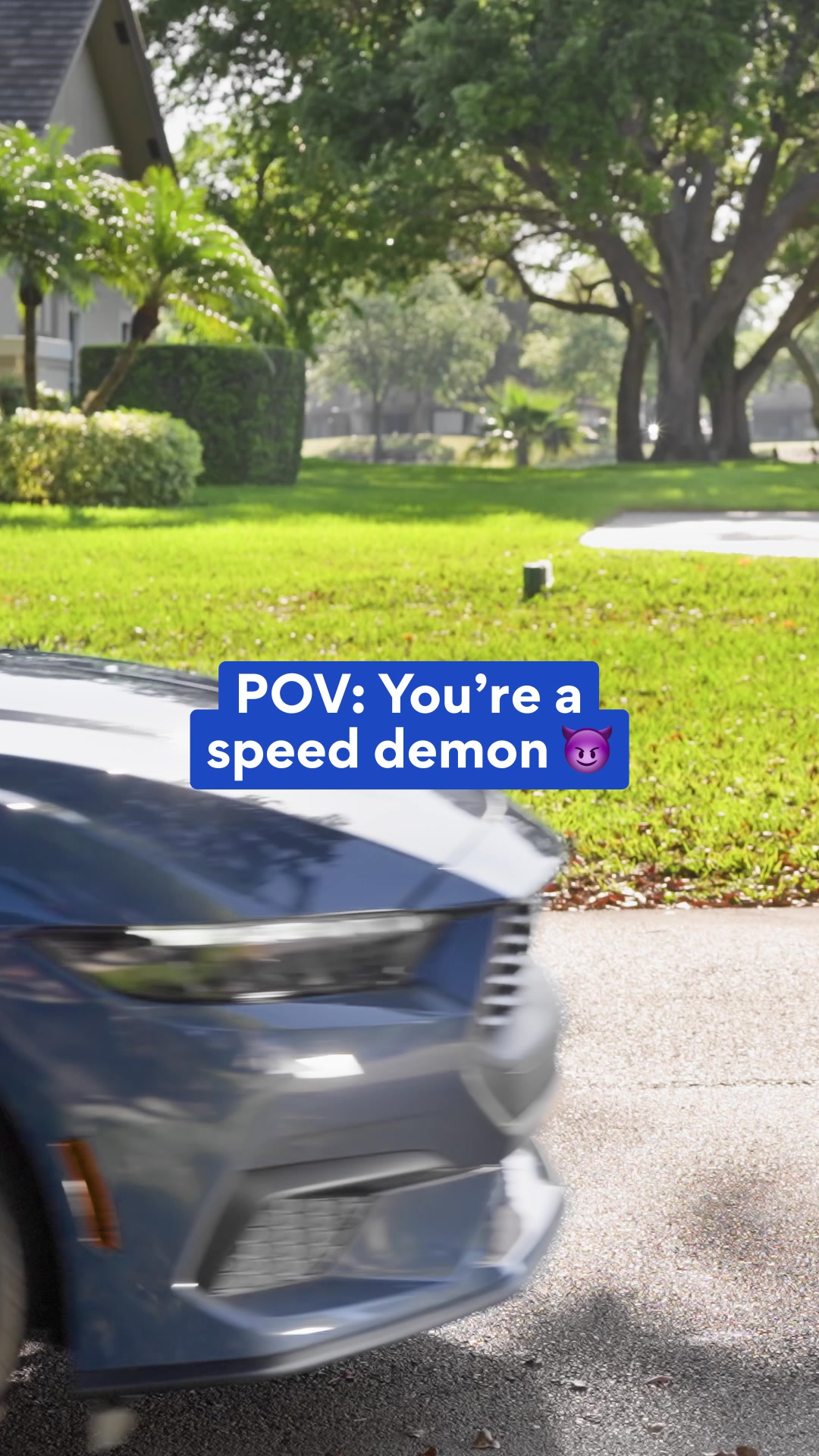 Chewy Facebook ad from Aug 26, 2026