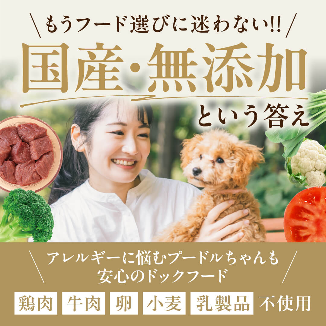 健康いぬ生活 Facebook ad