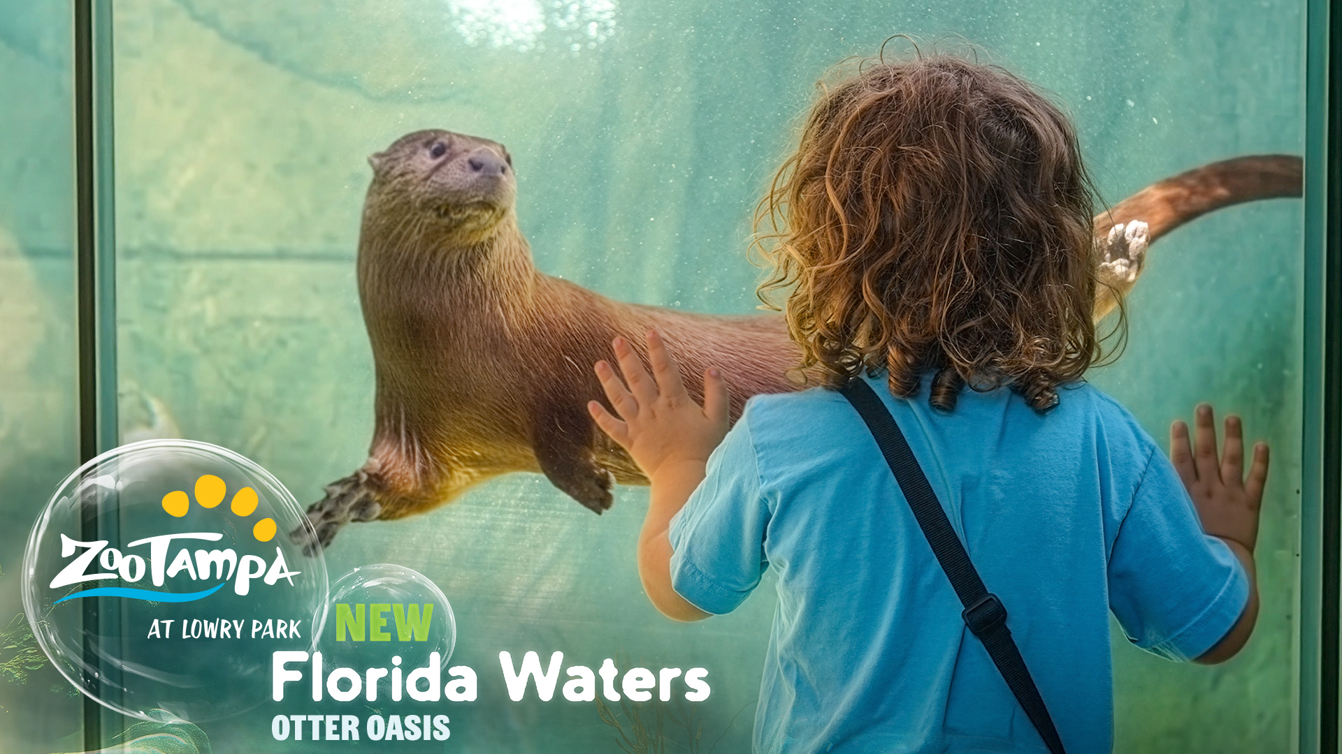 ZooTampa at Lowry Park Facebook ad