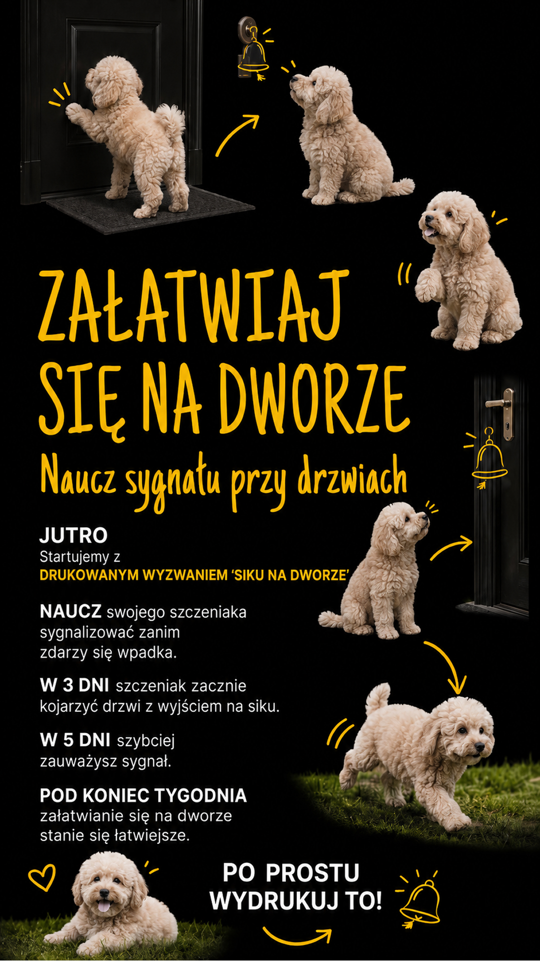 Ben Your Puppy Trainer Facebook ad