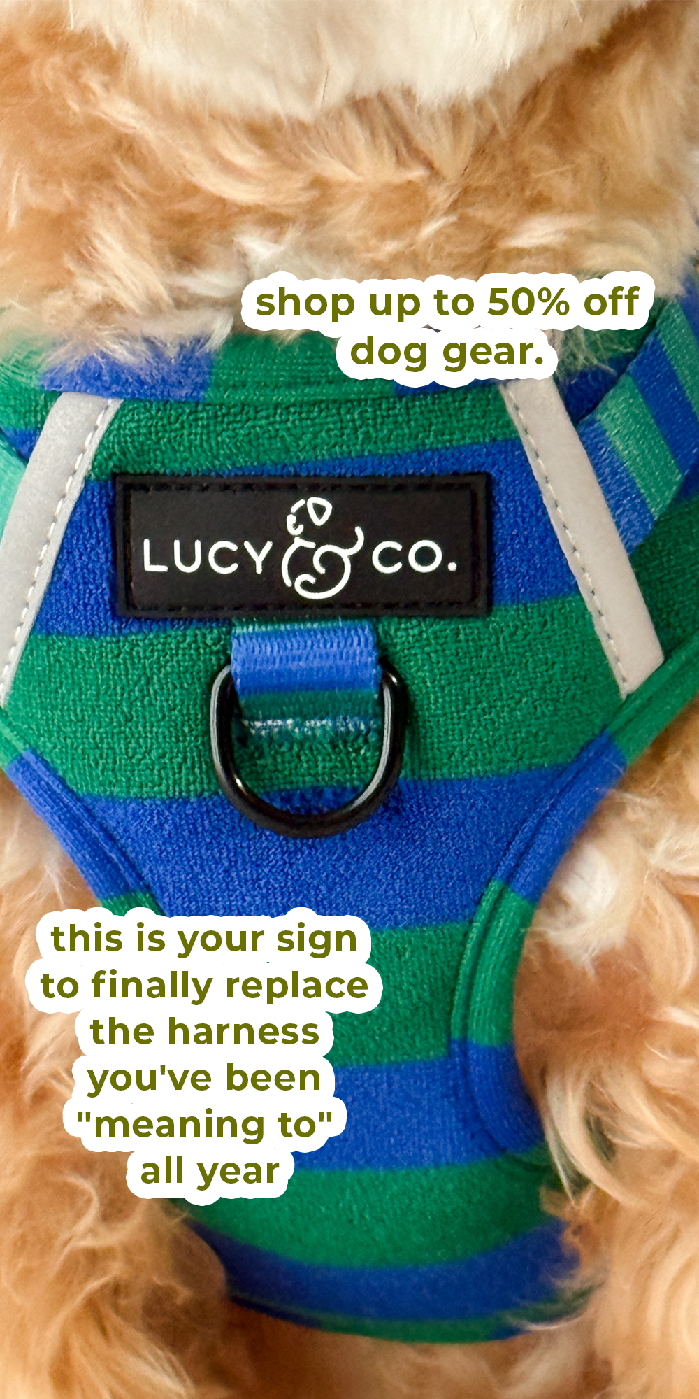 Lucy & Co. Facebook ad