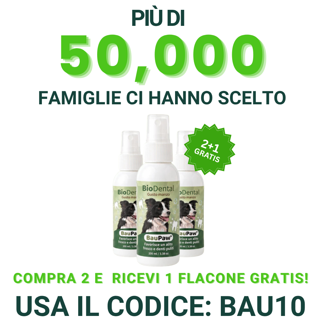Baupaw Facebook ad
