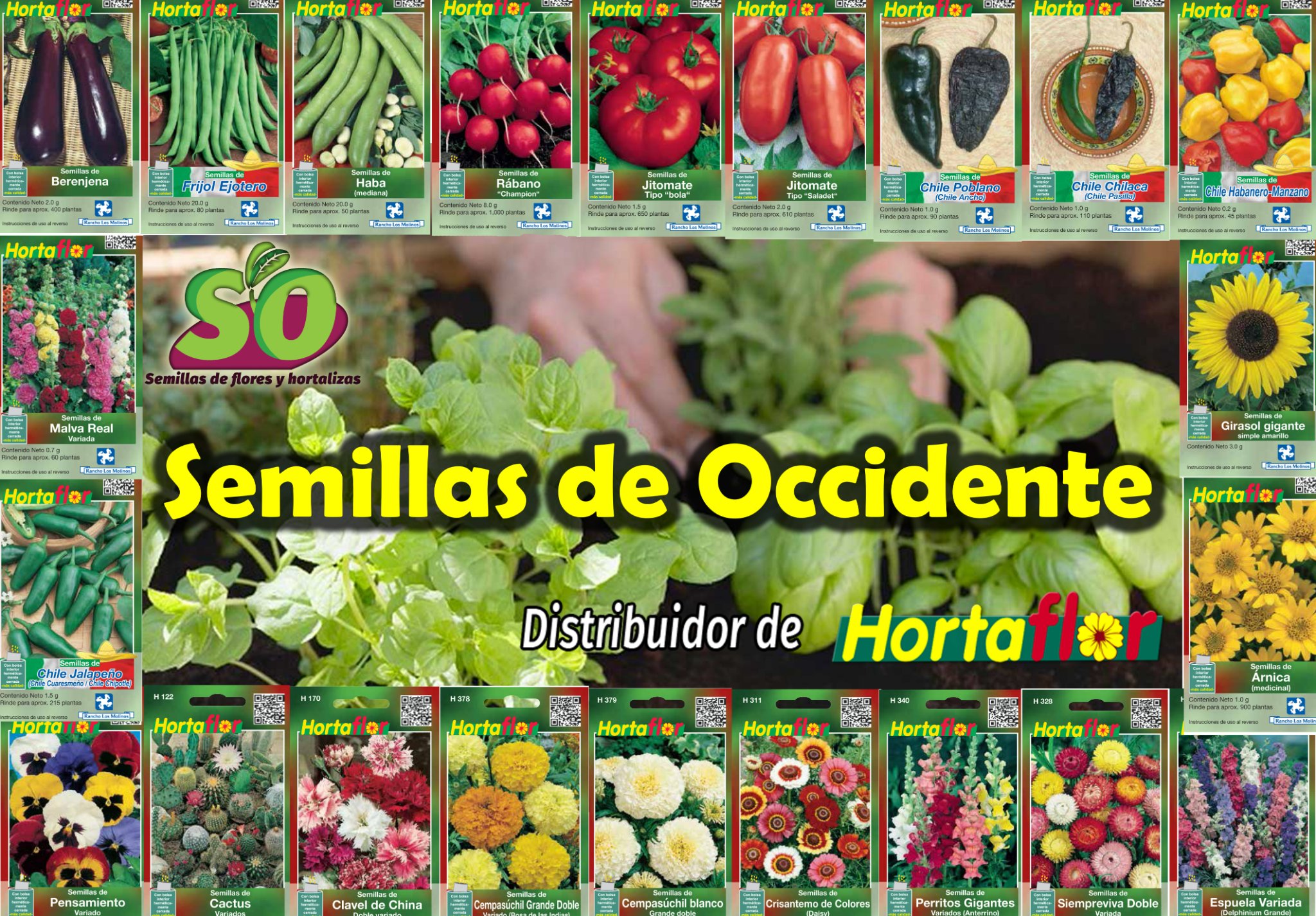 Semillas de Occidente Facebook ad from Mar 15, 2026