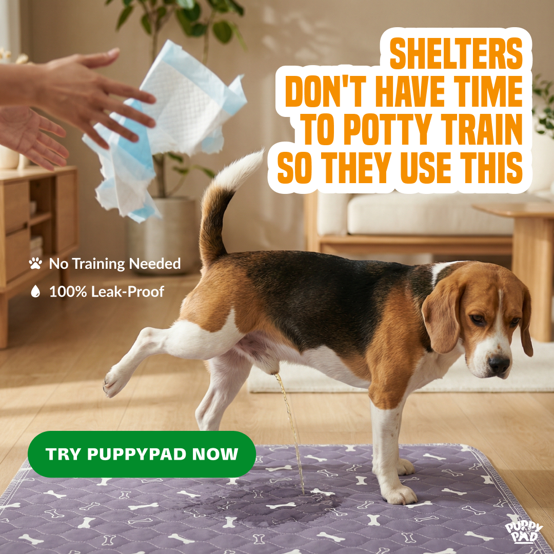 PuppyPad Facebook ad