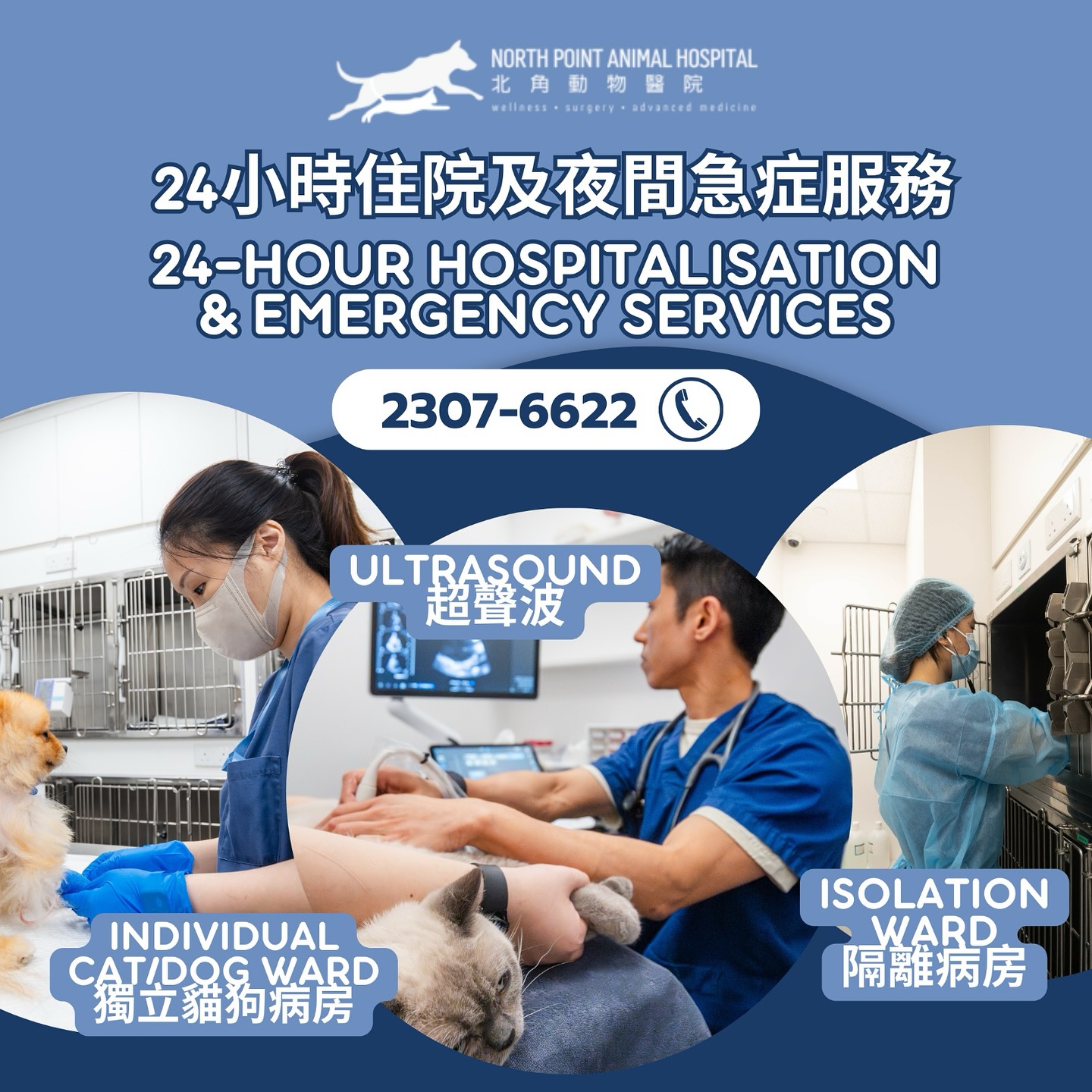 North Point Animal Hospital 北角動物醫院 Facebook ad