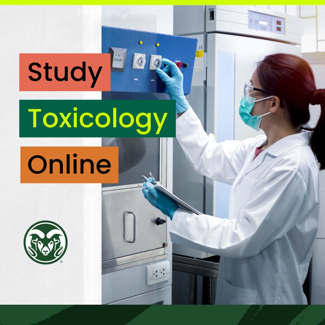 Colorado State University Online Facebook ad
