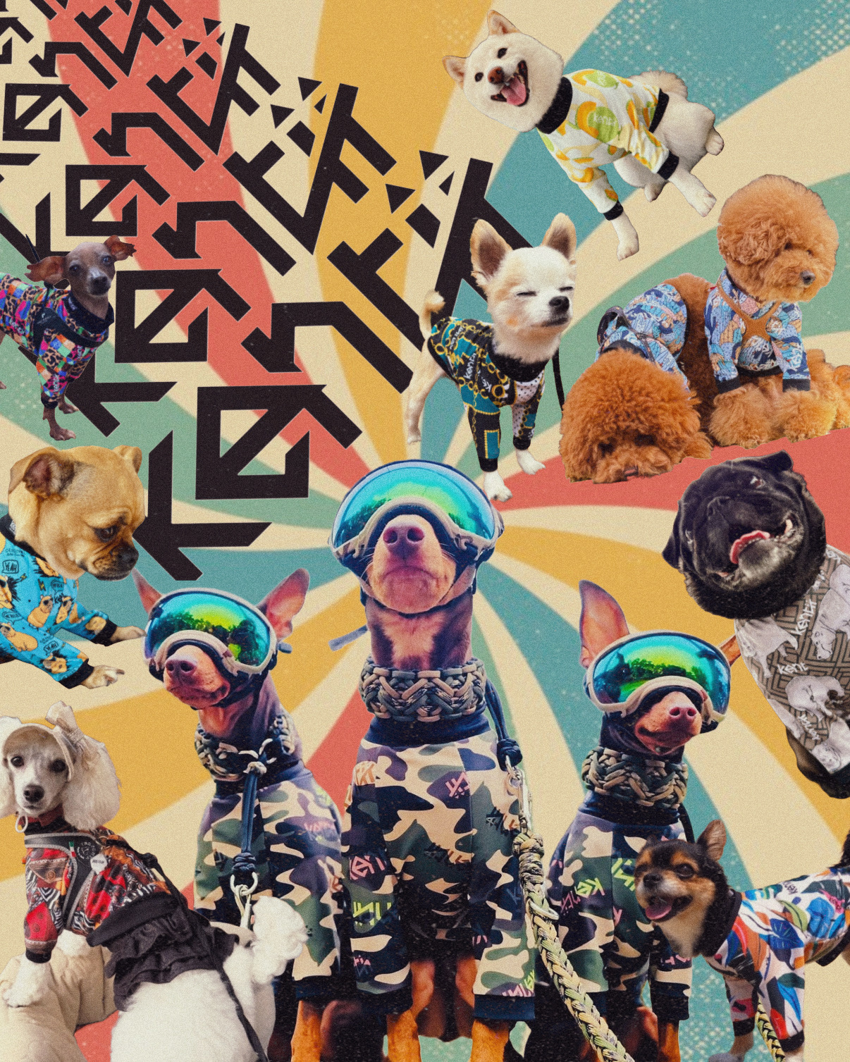 dogclothes_kentii Facebook ad