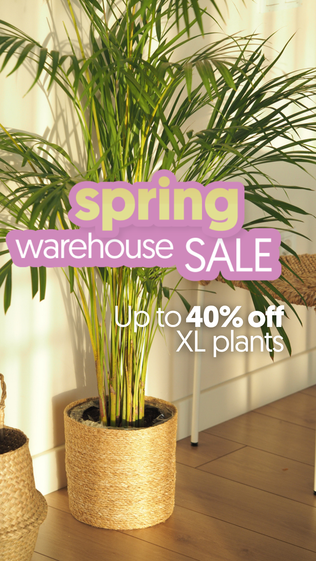 Plantsome Facebook ad