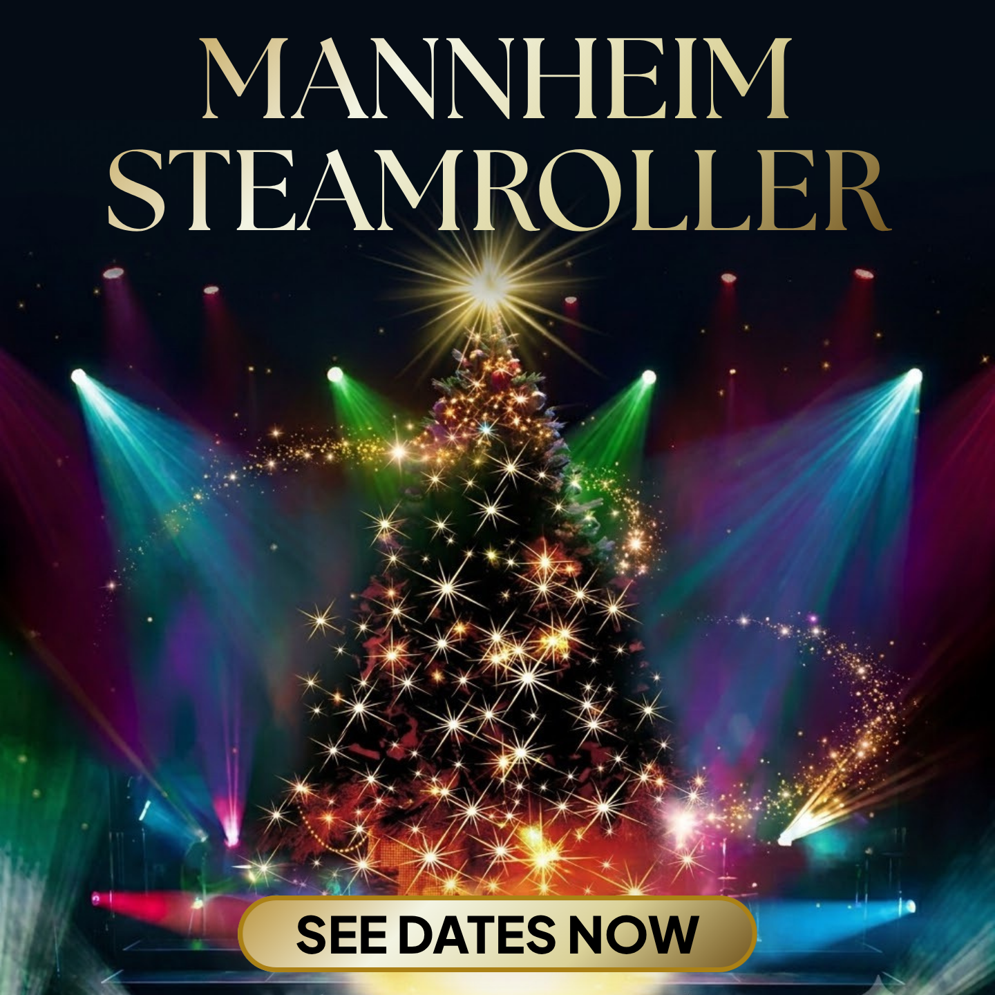 Holiday Show Guide Facebook ad: View Tour Dates