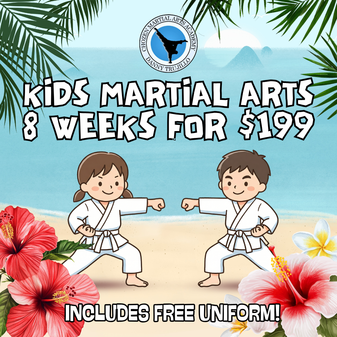 Chozen Martial Arts Academy Facebook ad