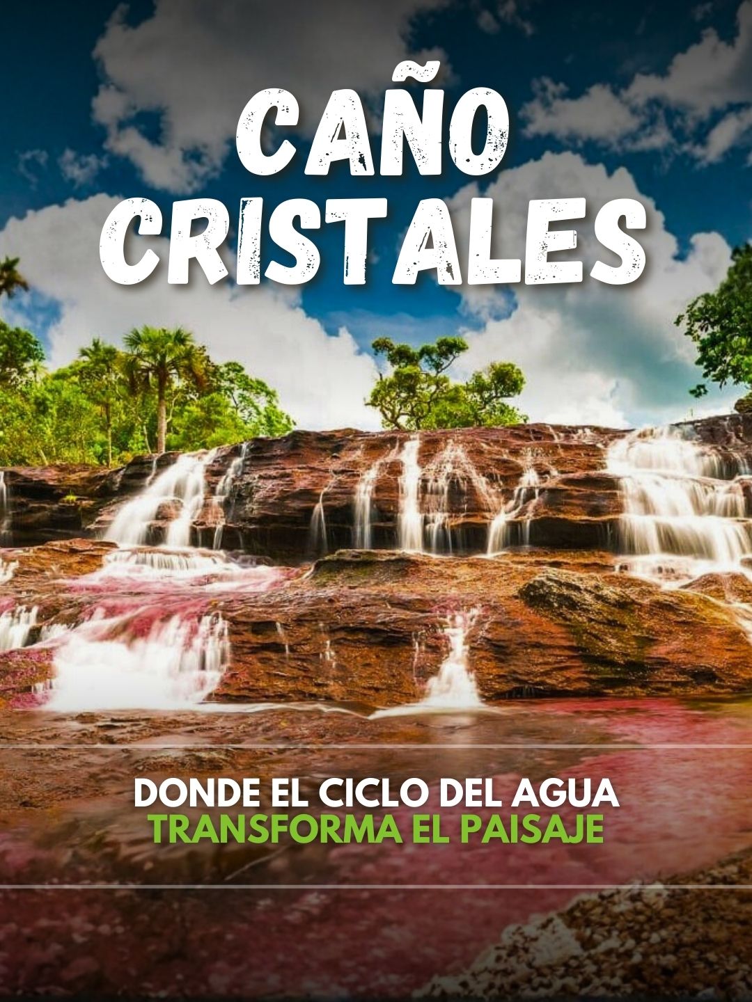 Ecoglobal Expeditions Ecoturismo, Turismo de Naturaleza y de Aventura Facebook ad: Caño Cristales, ubicado en la Serranía de la…