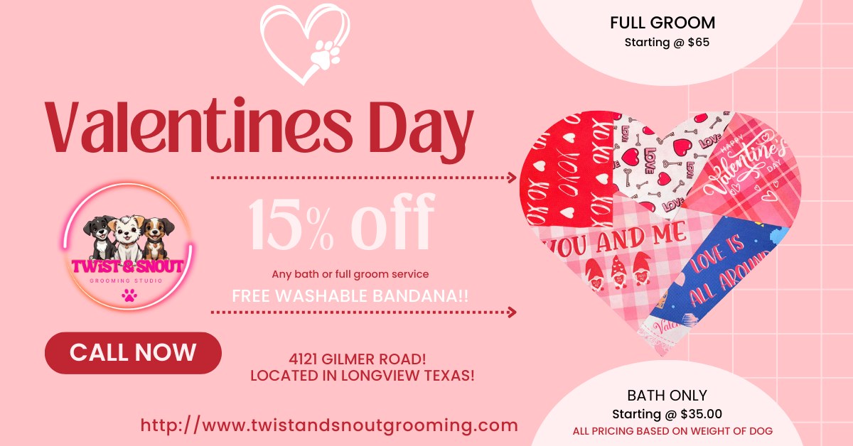 Twist & Snout Grooming Studio Facebook ad: LOCATED IN LONGVIEW TEXAS!