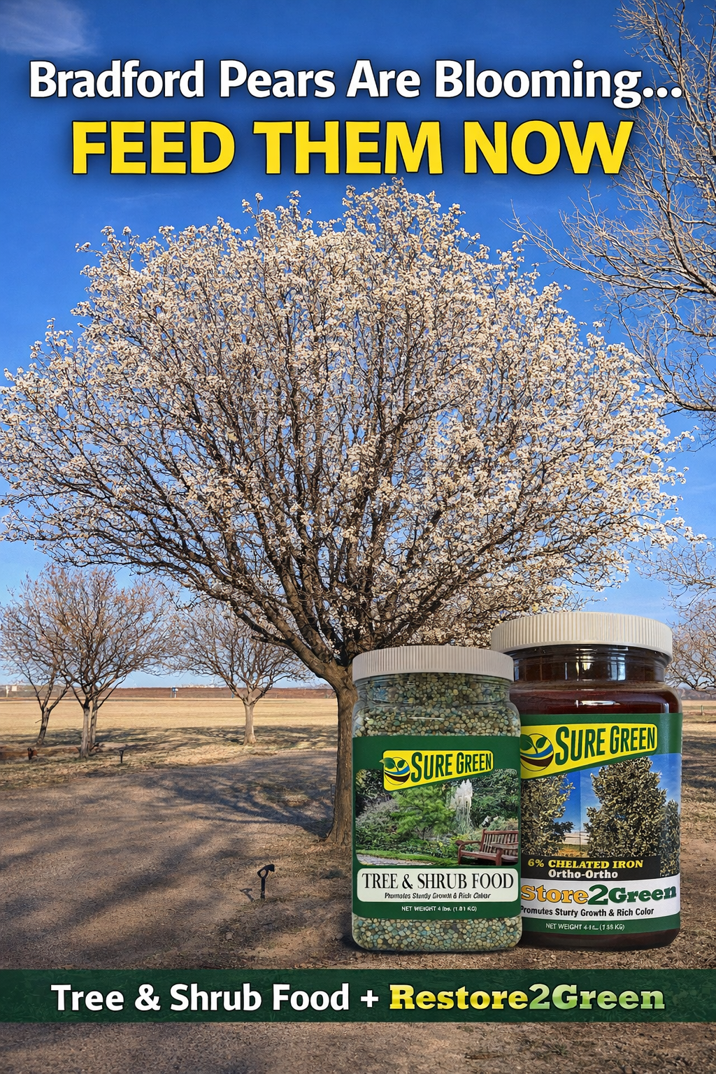 Sure Green Products Facebook ad: Dealers, Sure Green Lawn Fertilizer