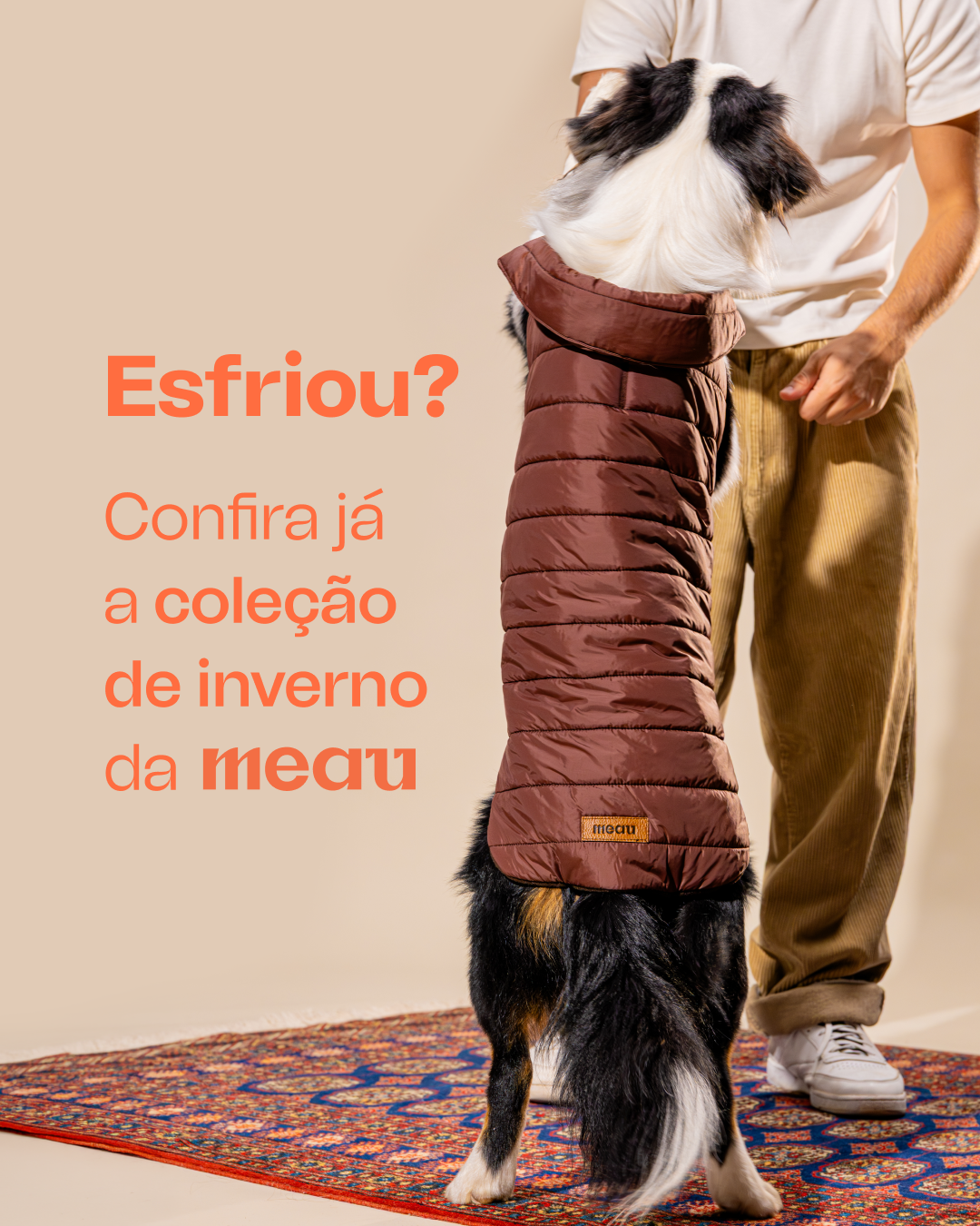 Petlove Facebook ad