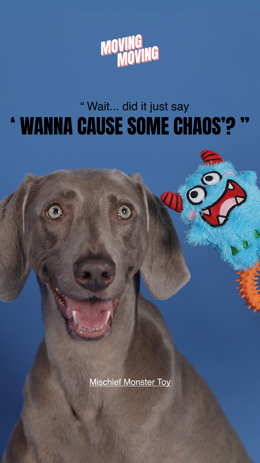 MovingMoving Facebook ad: PLUSH DOG TOYS