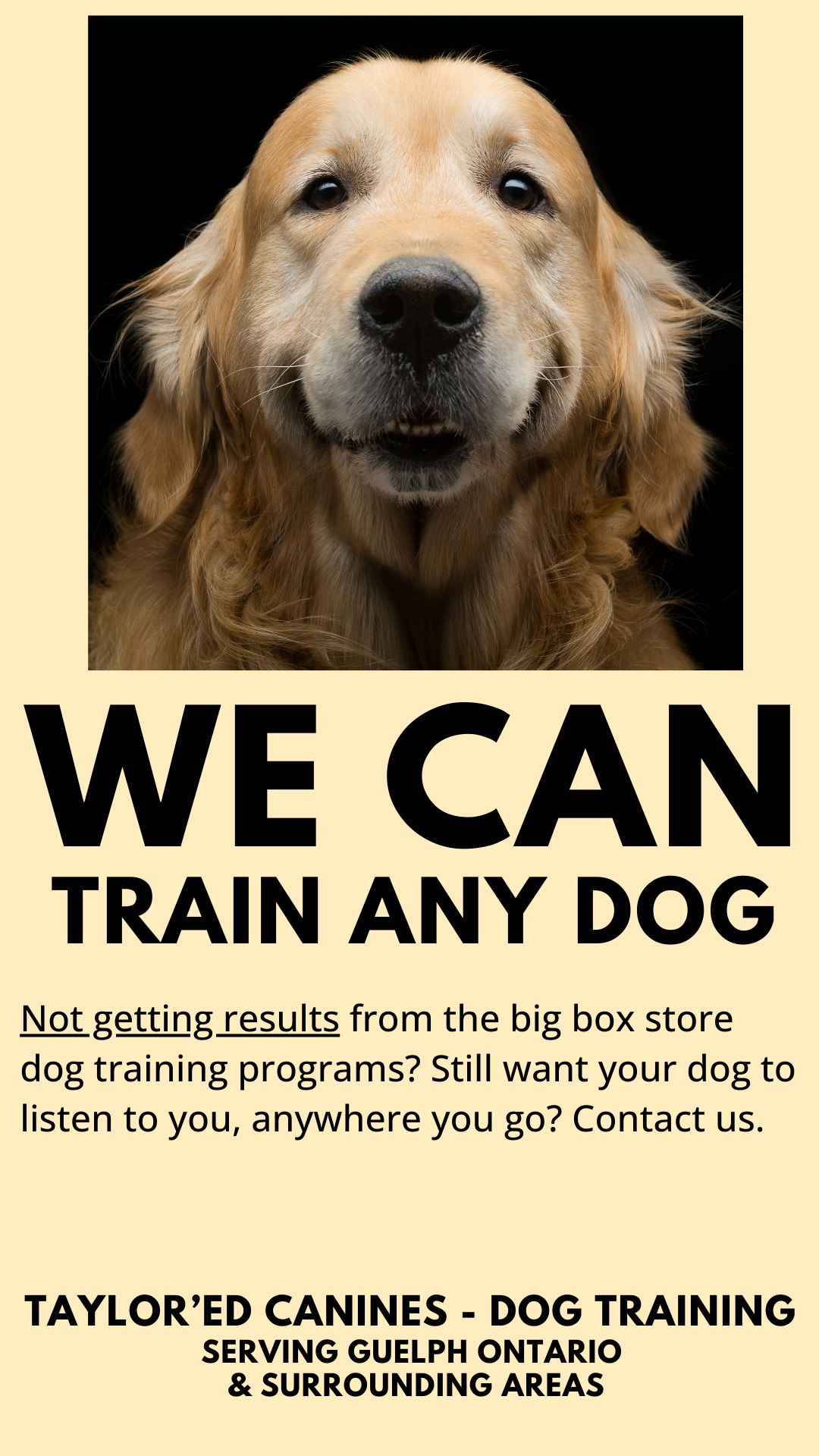 Taylor'ed Canines Facebook ad from Jan 12, 2026