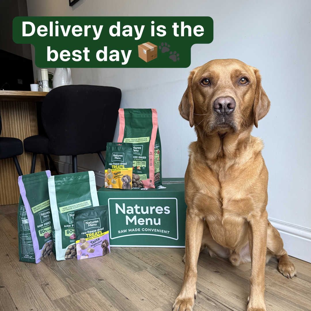 Natures Menu Facebook ad from Dec 12, 2025