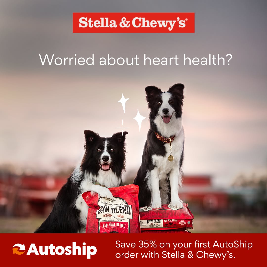 Chewy Facebook ad