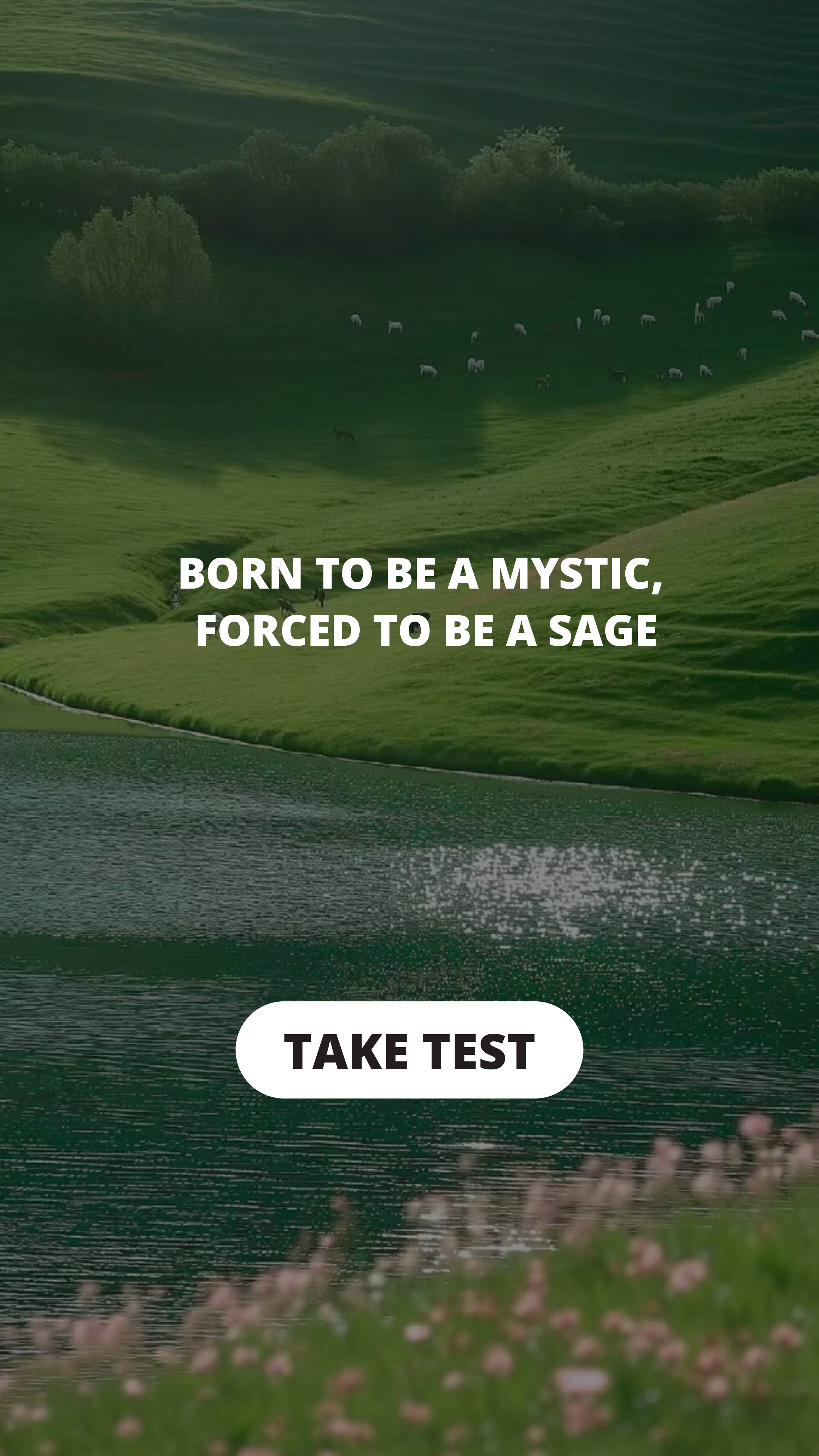 Personality Type Facebook ad