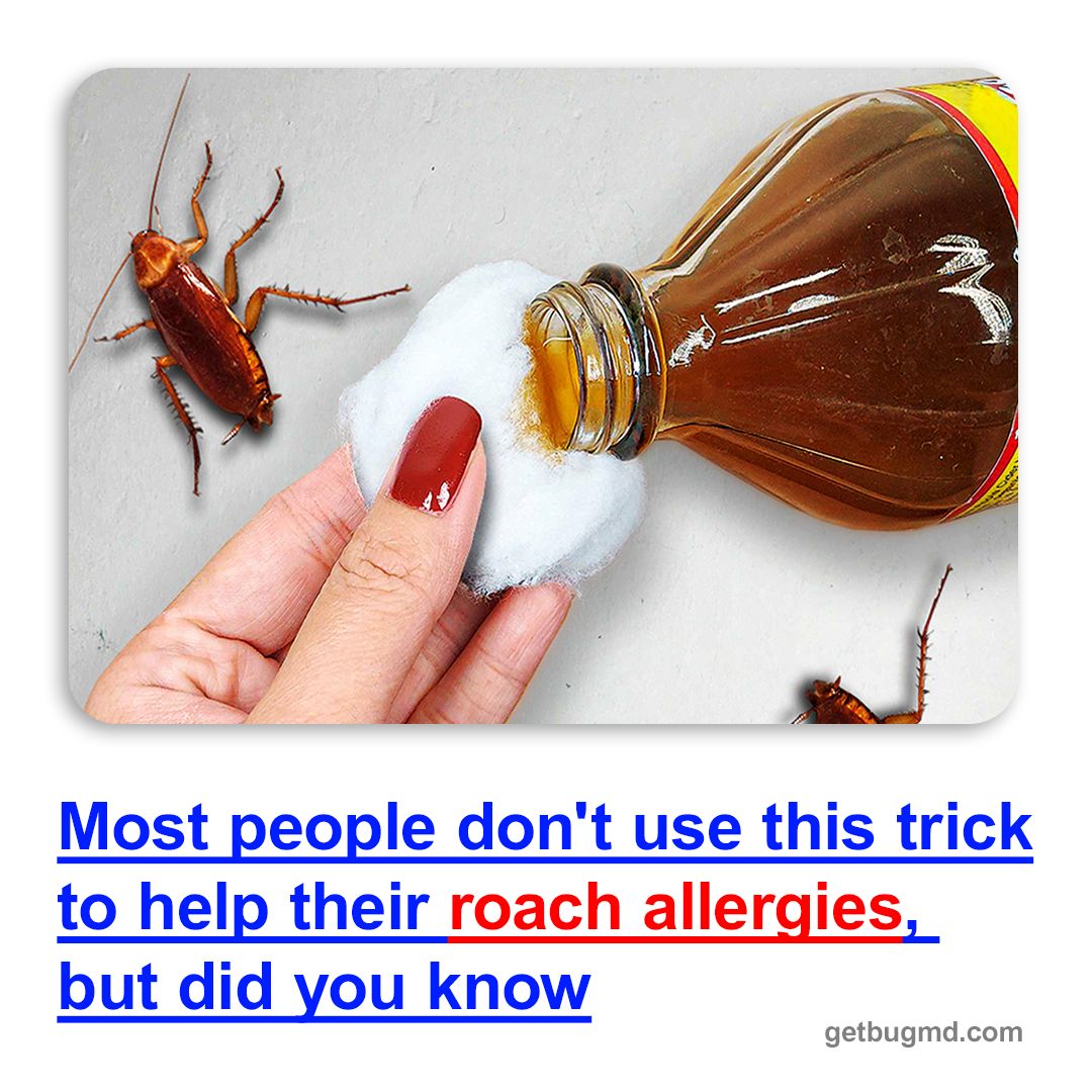 Bug-Hating Moms Facebook ad