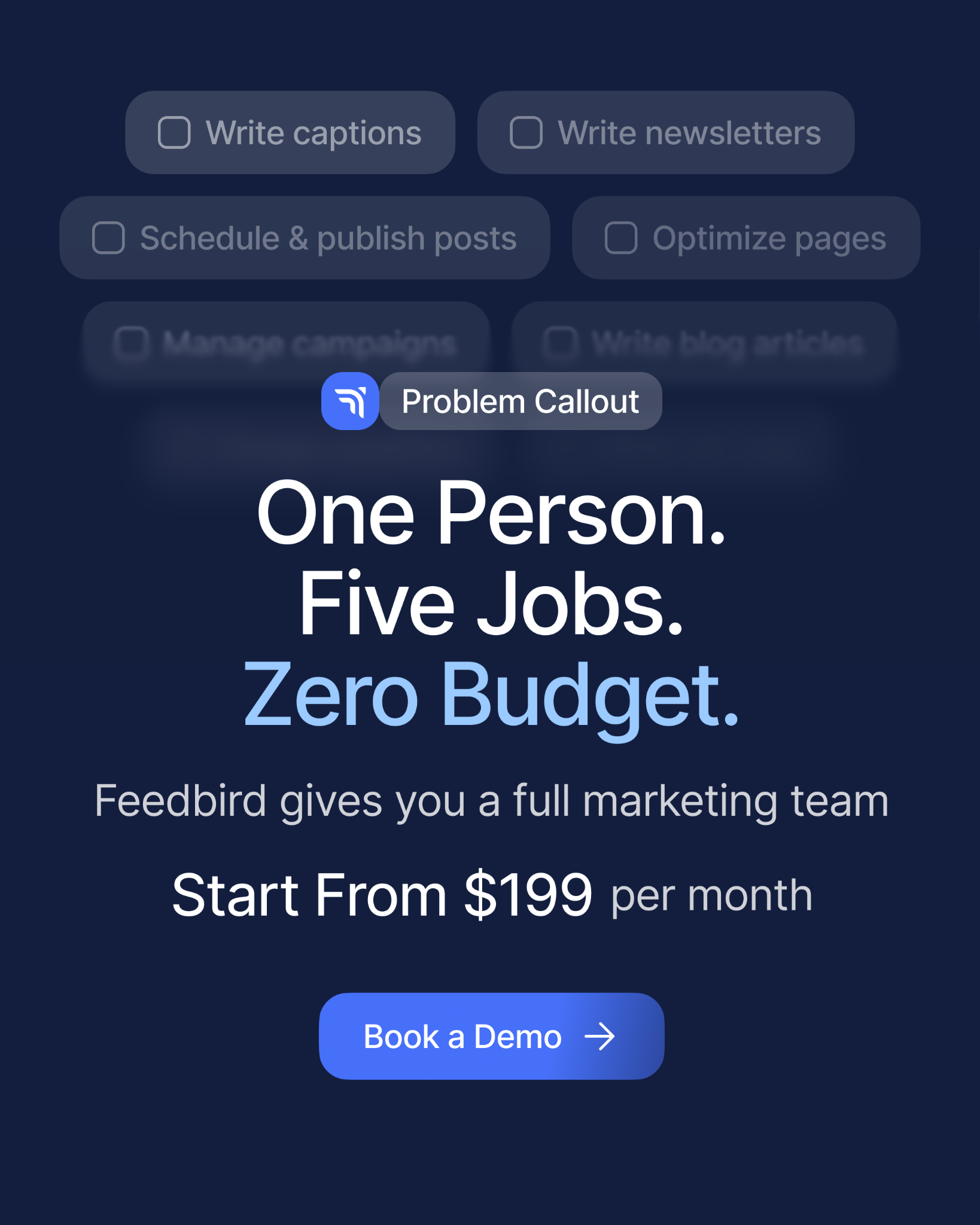 Feedbird Facebook ad