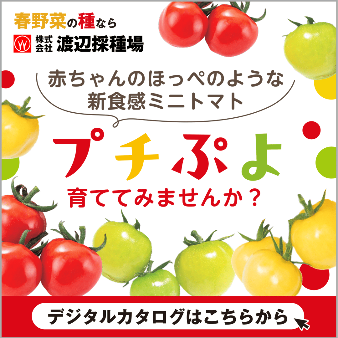 渡辺採種場 Facebook ad from Mar 1, 2026