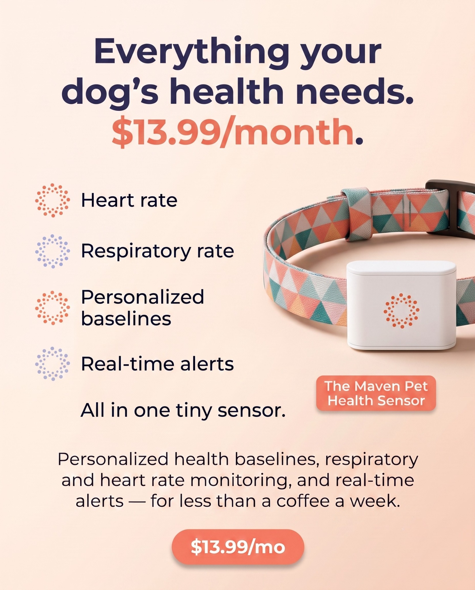 Maven Pet Facebook ad