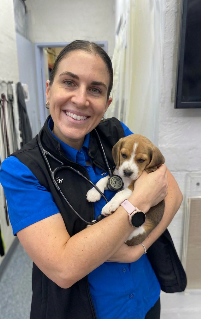 Canine Stress Research Institute Facebook ad